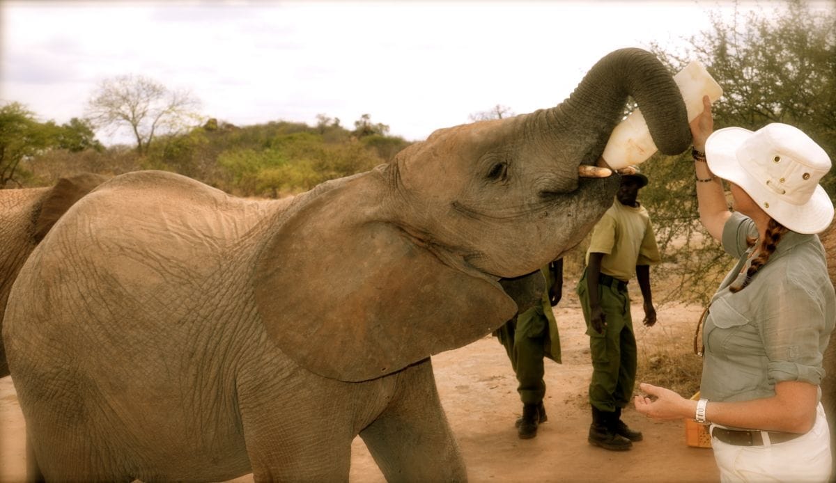 Dispatch from Kenya: Ithumba Camp, Kenya