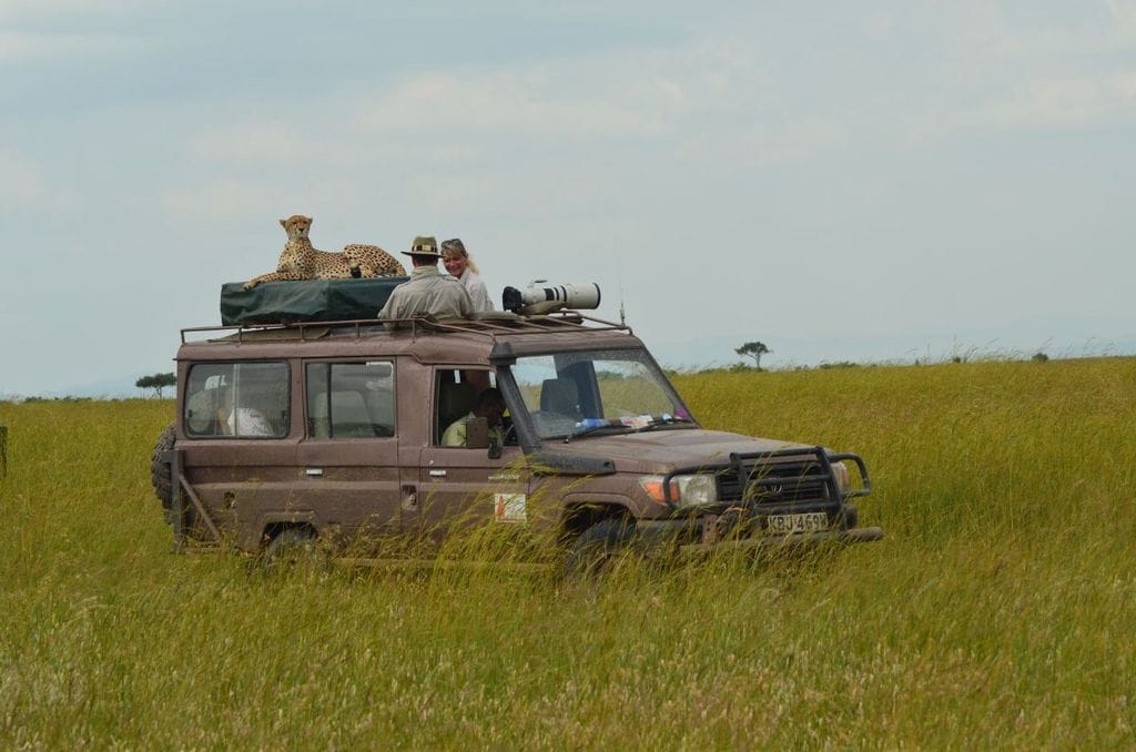 Dispatch From Kenya: Mara Plains Camp, Masai Mara