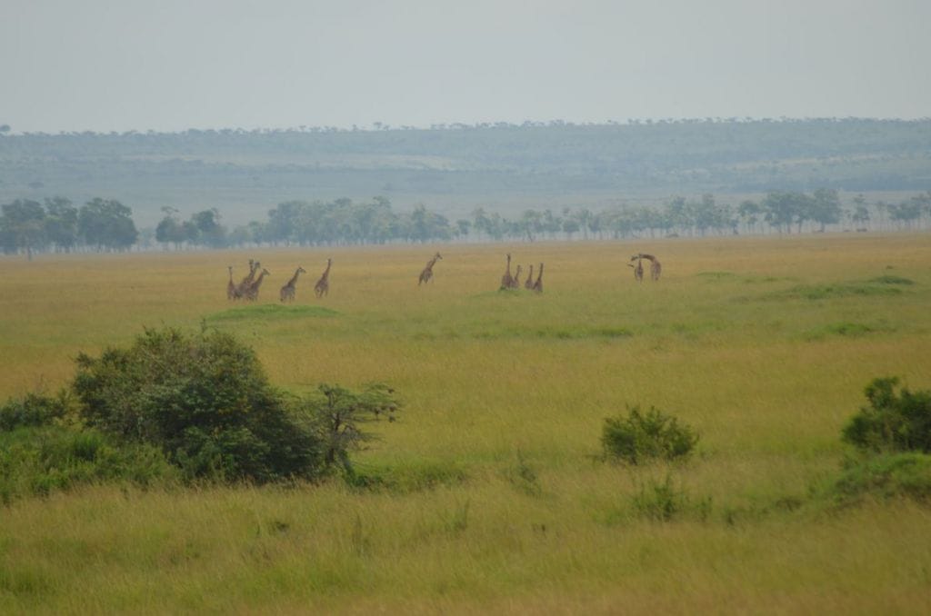 Dispatch From Kenya: Mara Plains Camp, Masai Mara