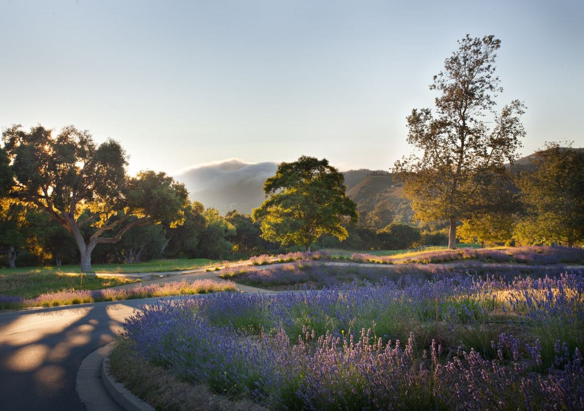 Just Checked Out: Carmel Valley Ranch, California