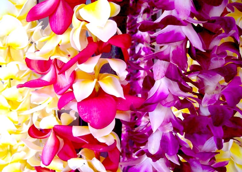 It’s Not a Honeymoon Until You Get Lei’d (in Hawaii)