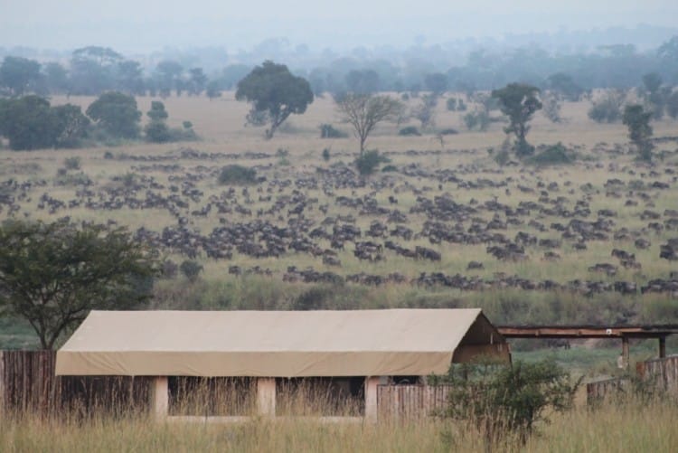 Review: Singita Mara River Tented Camp, Tanzania