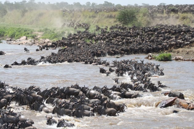 Review: Singita Mara River Tented Camp, Tanzania