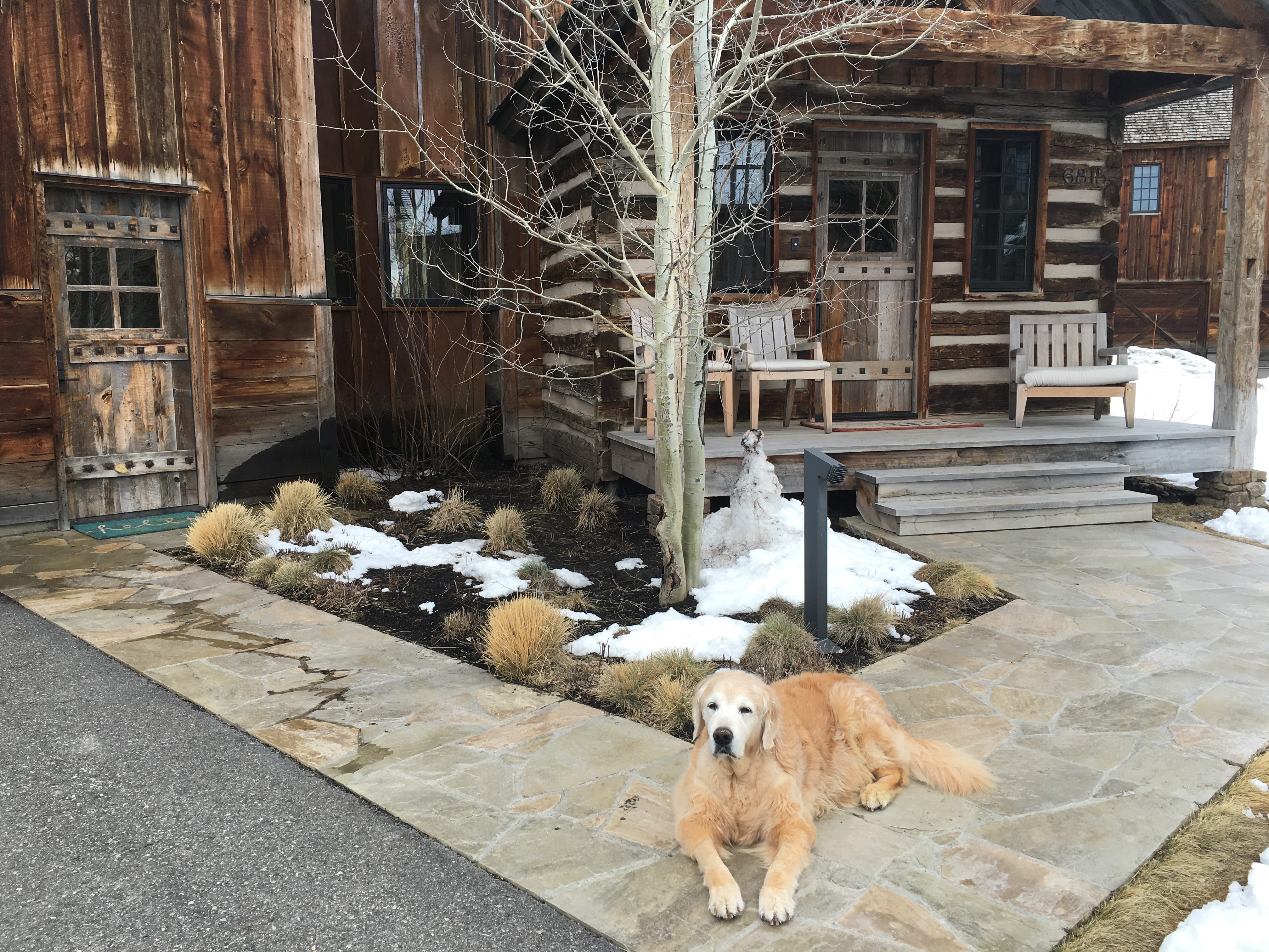 Family Time In Jackson Hole, Wyoming