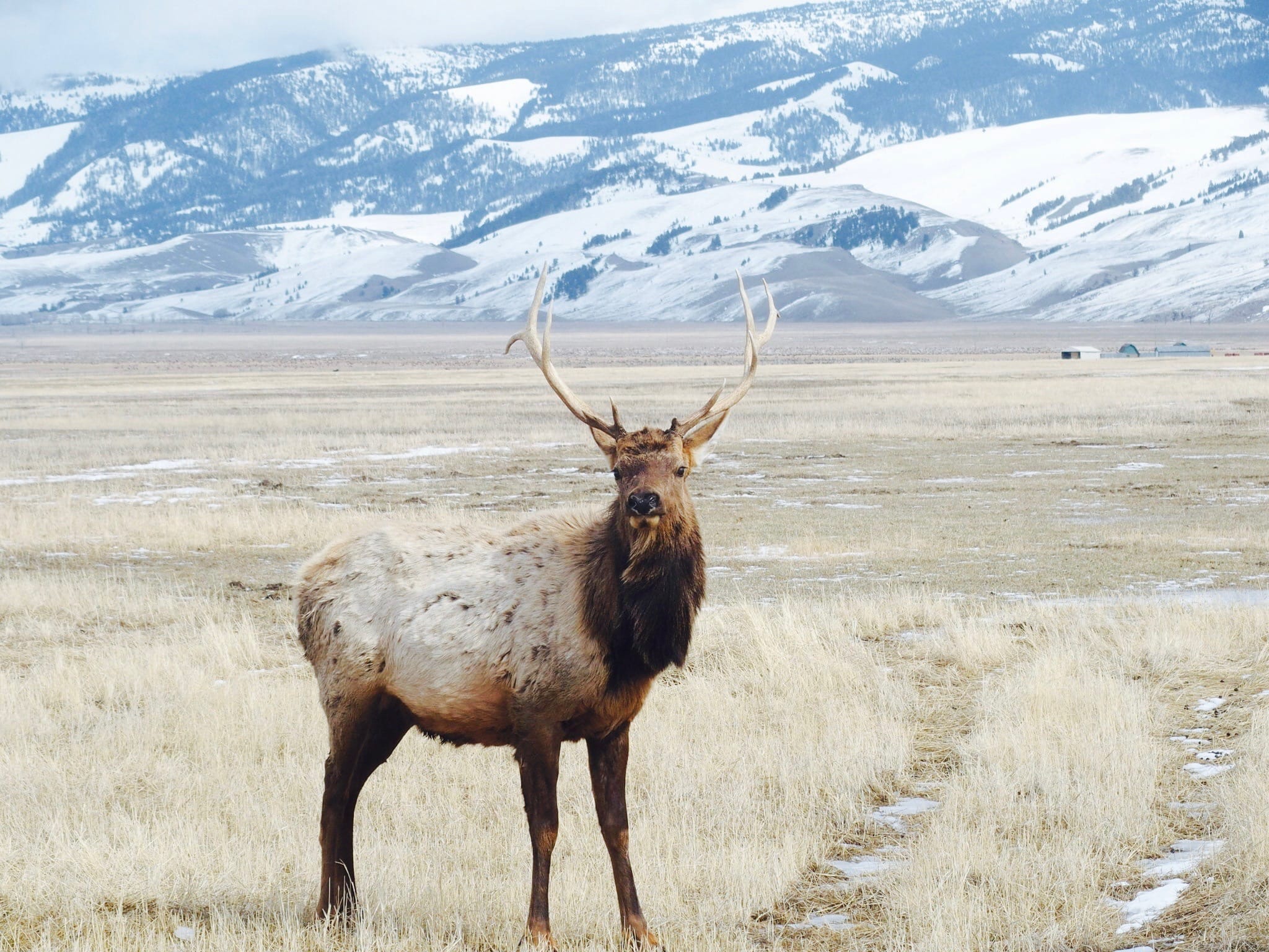 Family Time In Jackson Hole, Wyoming