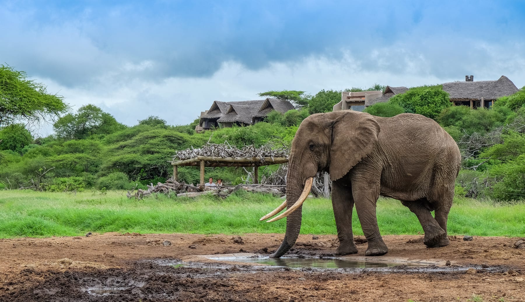 Just Checked Out: Ol Donyo Lodge, Kenya