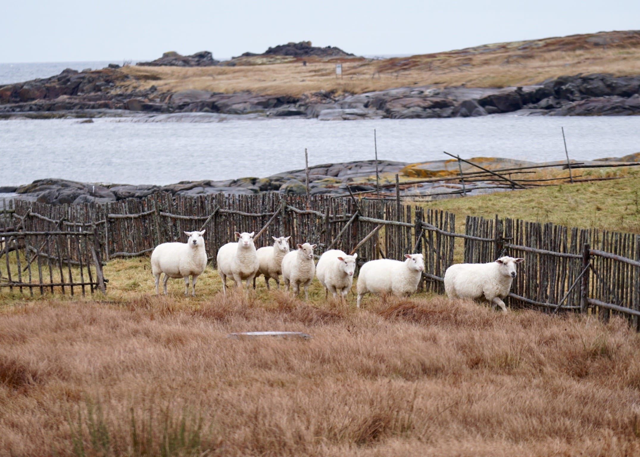 Hotel Review: Fogo Island Inn in Newfoundland