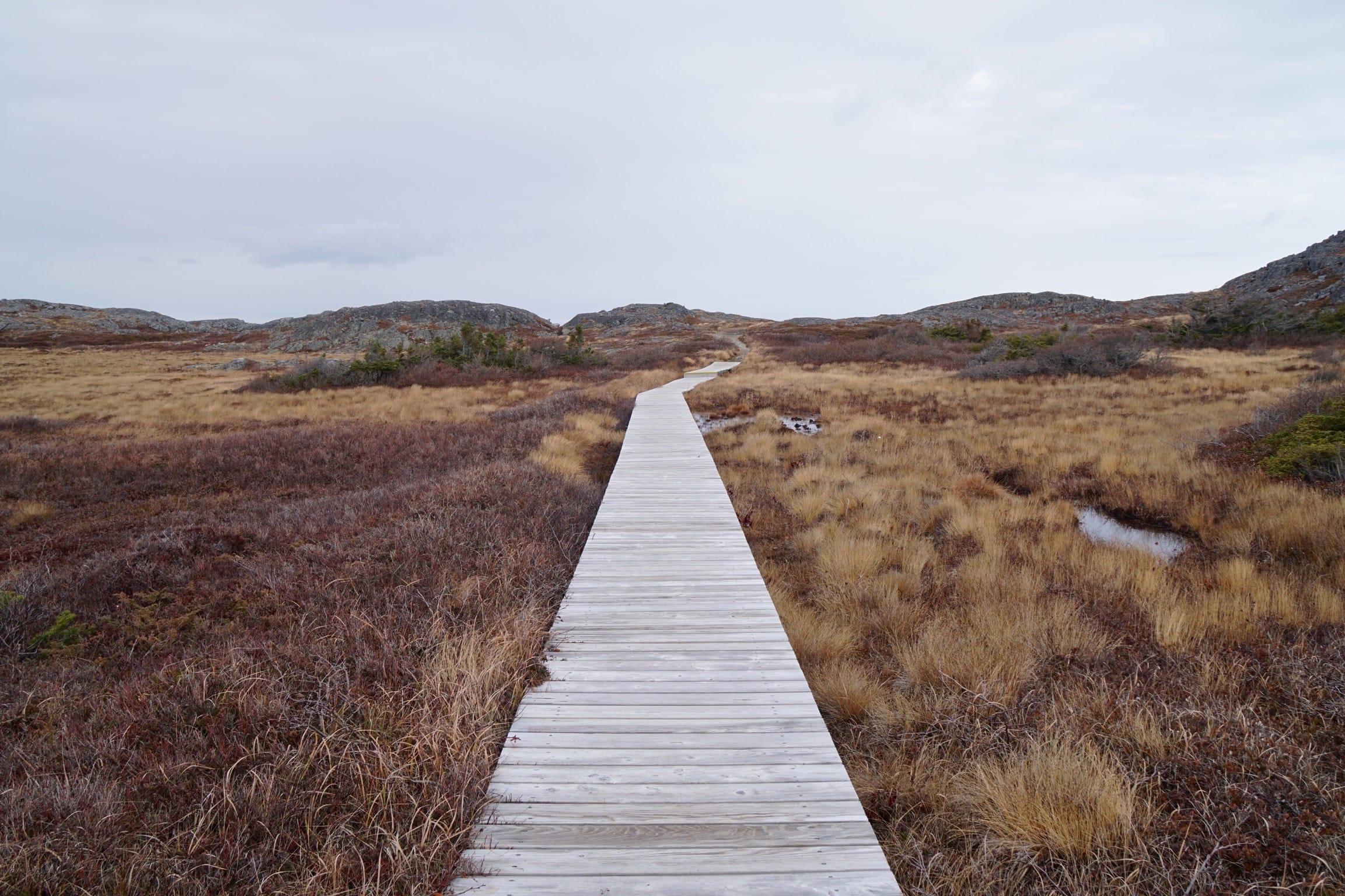 Hotel Review: Fogo Island Inn in Newfoundland