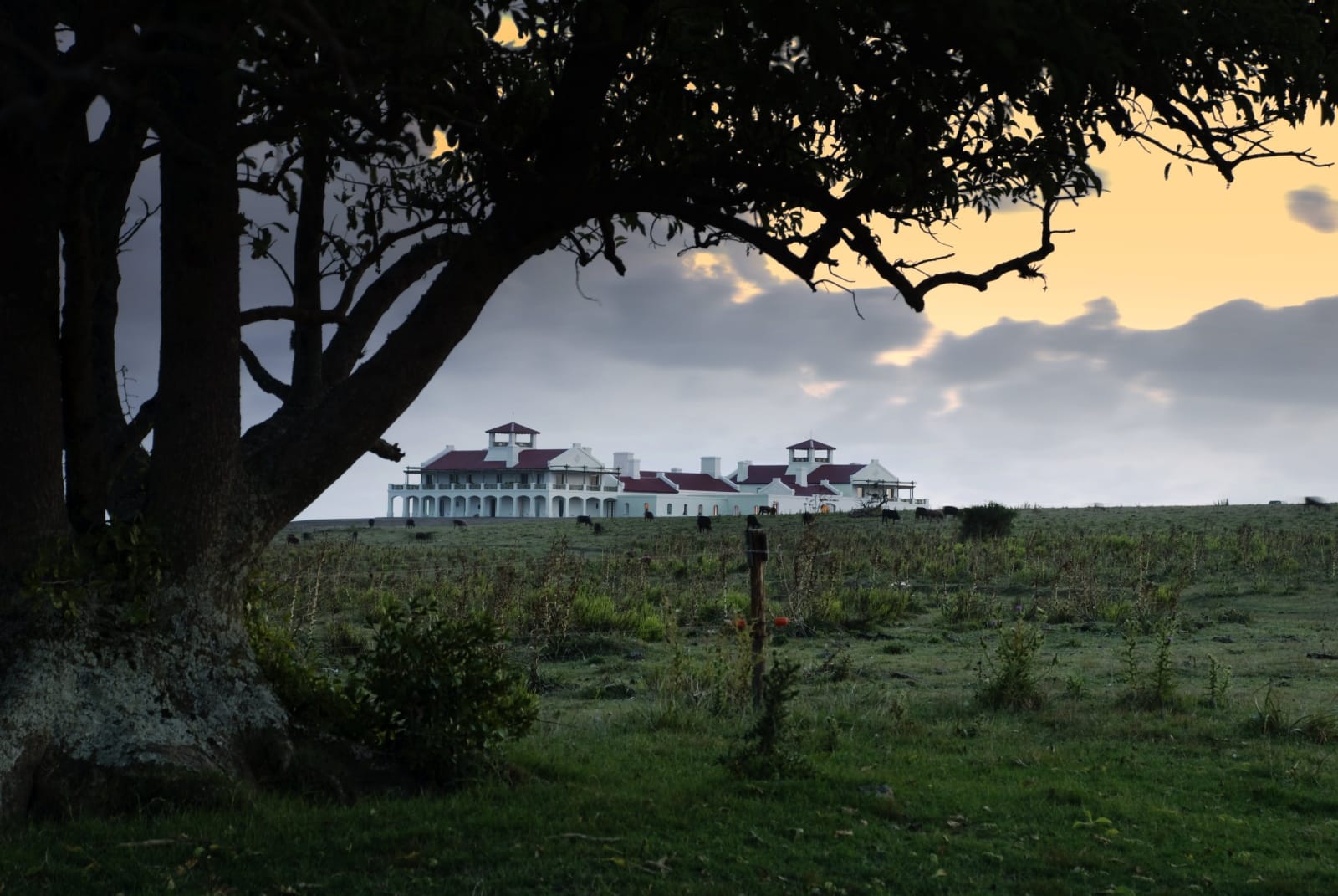 Estancia Vik