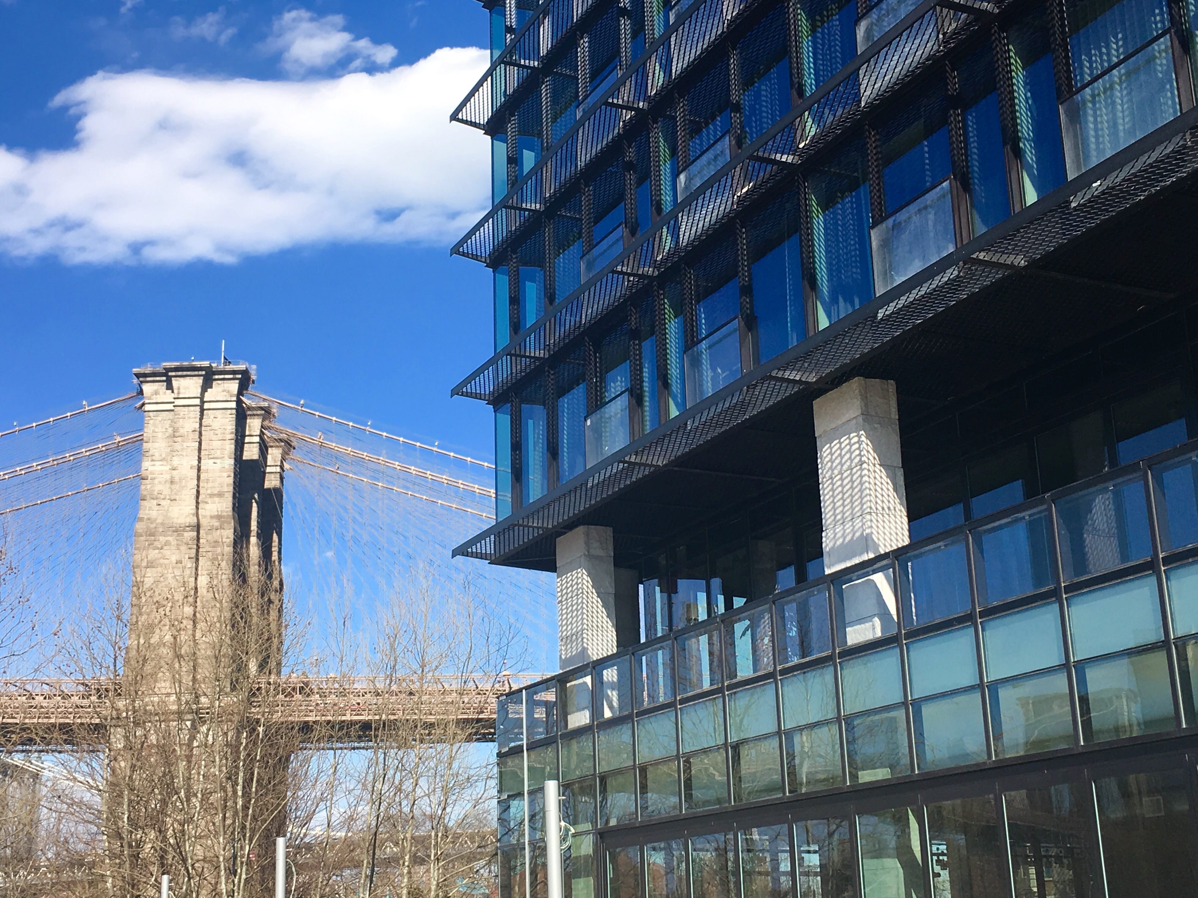 Inside Look: 1 Hotel Brooklyn Bridge