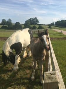 Just Checked Out: Soho Farmhouse, Oxfordshire