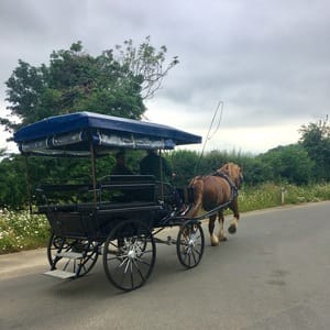 Horse and carriage travel Oxfordshire England