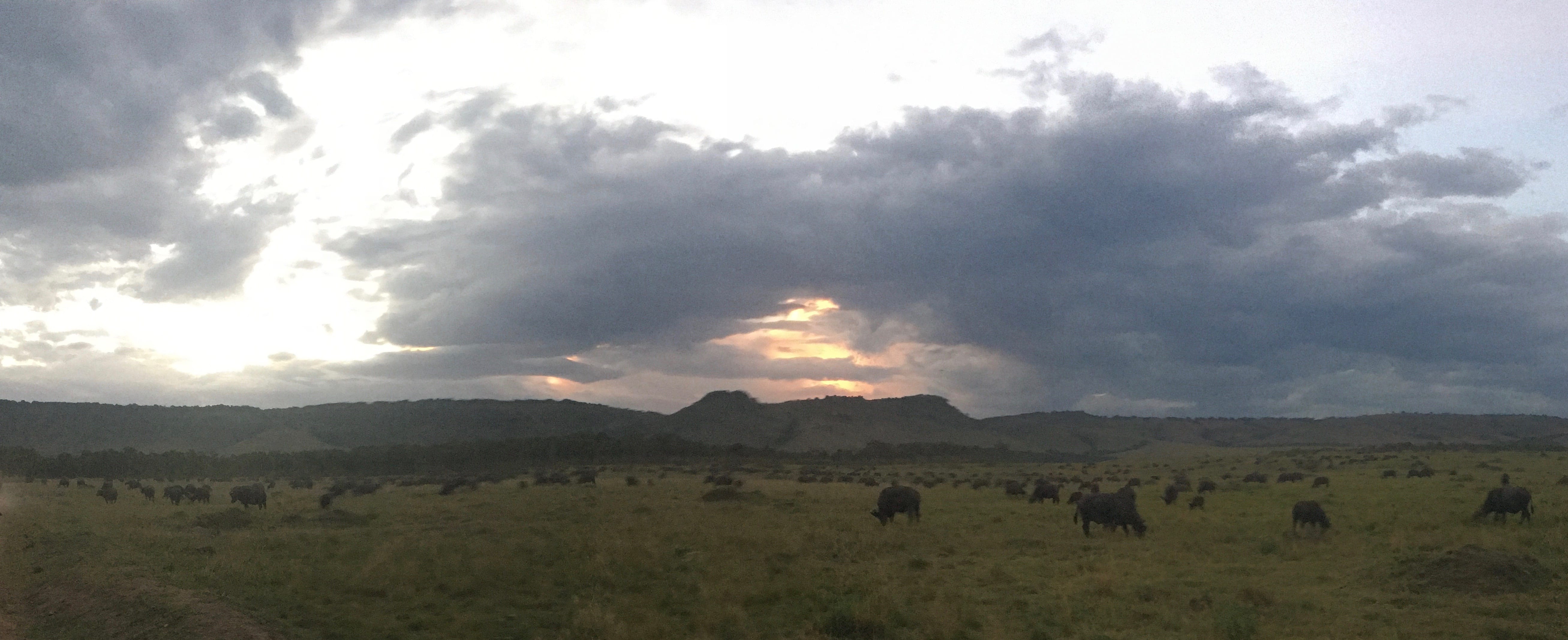 Safari Lodge Review: Angama Mara in the Maasai Mara, Kenya