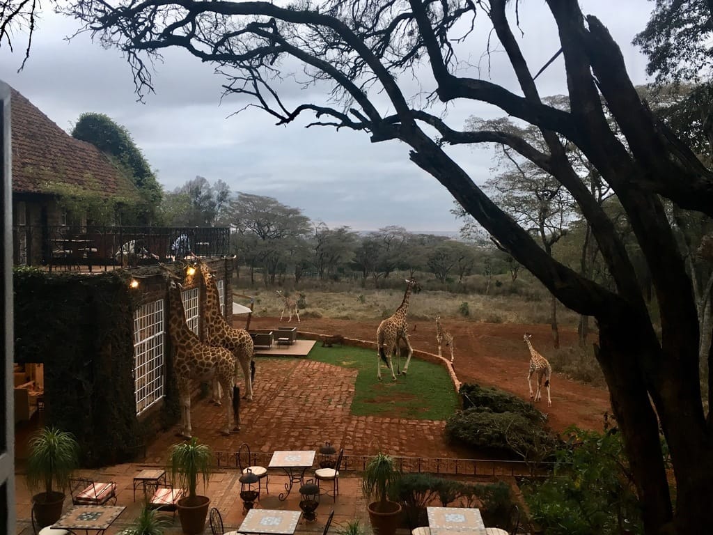 Back (again) to Giraffe Manor in Nairobi, Kenya