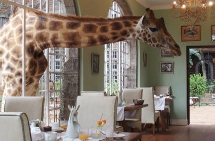 Giraffe-Manor-Nairobi