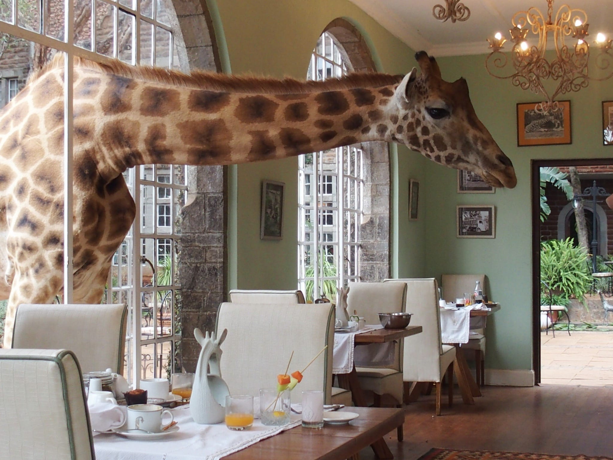 Back (again) to Giraffe Manor in Nairobi, Kenya