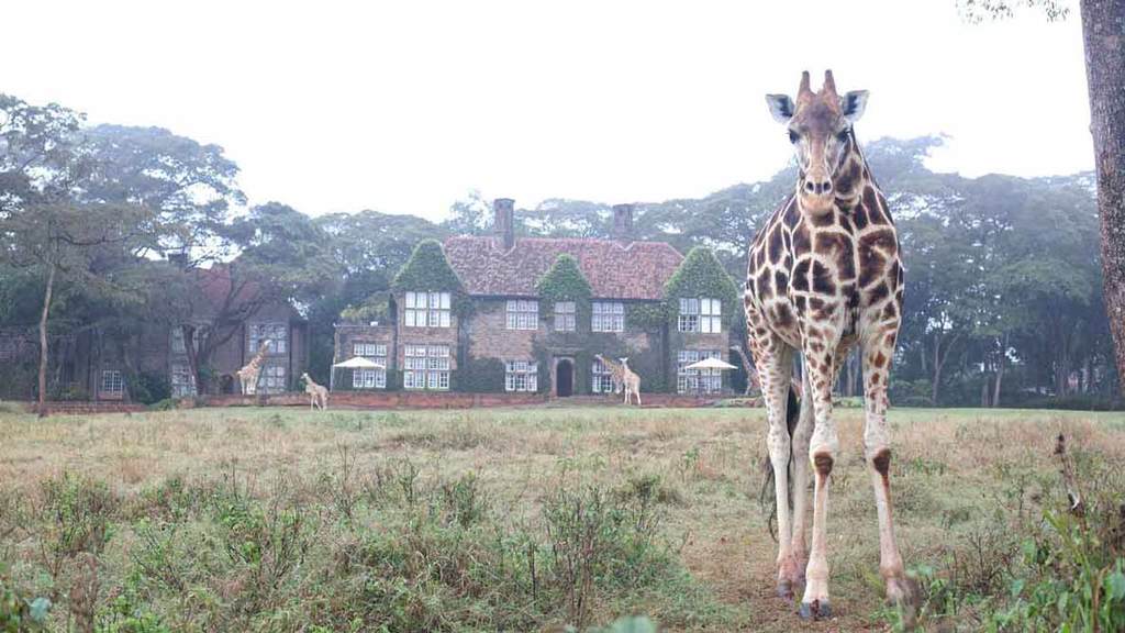 Back (again) to Giraffe Manor in Nairobi, Kenya