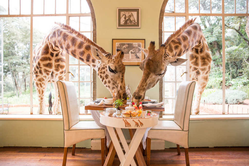 Back (again) to Giraffe Manor in Nairobi, Kenya