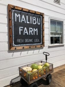 Malibu Farm Restaurant and Café