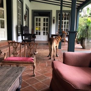 Hotel Review: Karen Gables, Nairobi