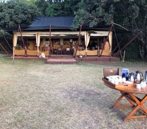 Just Checked Out: Elephant Pepper Camp, Masai Mara Kenya