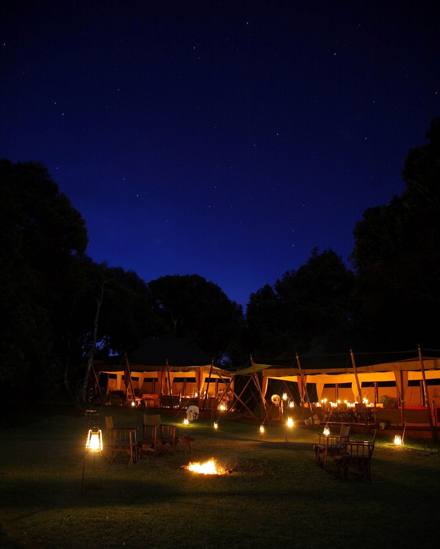 Just Checked Out: Elephant Pepper Camp, Masai Mara Kenya