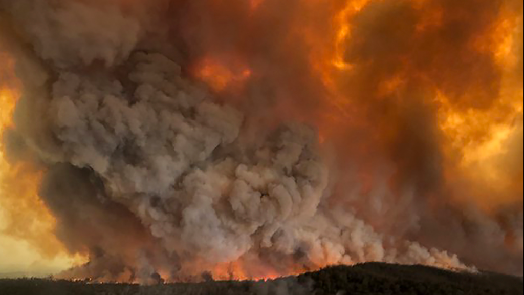 Australia On Fire: How To Help The Wildfire Victims
