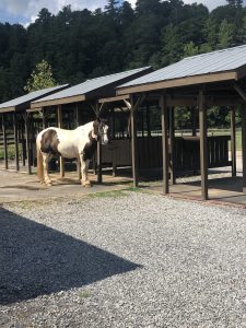 Hotel Review: Blackberry Mountain, Tennessee