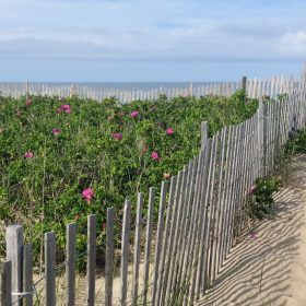 Hotel Review: The Wauwinet, Nantucket