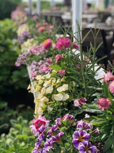 Nantucket Island