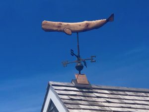 Nantucket Whale