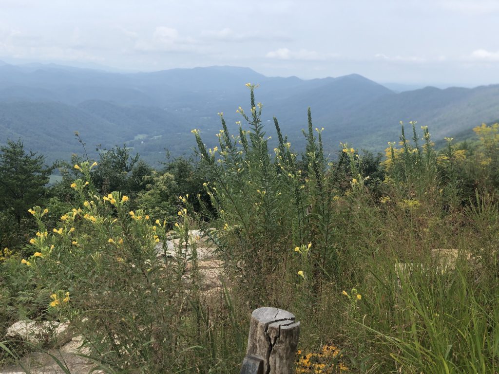 Hotel Review: Blackberry Mountain, Tennessee