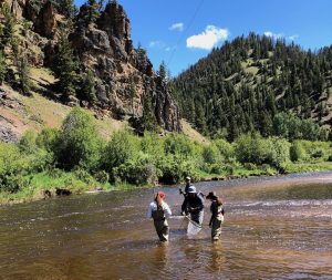 Review: Ranch At Rock Creek, Montana