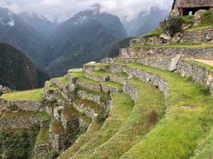 Details from Machu Picchu