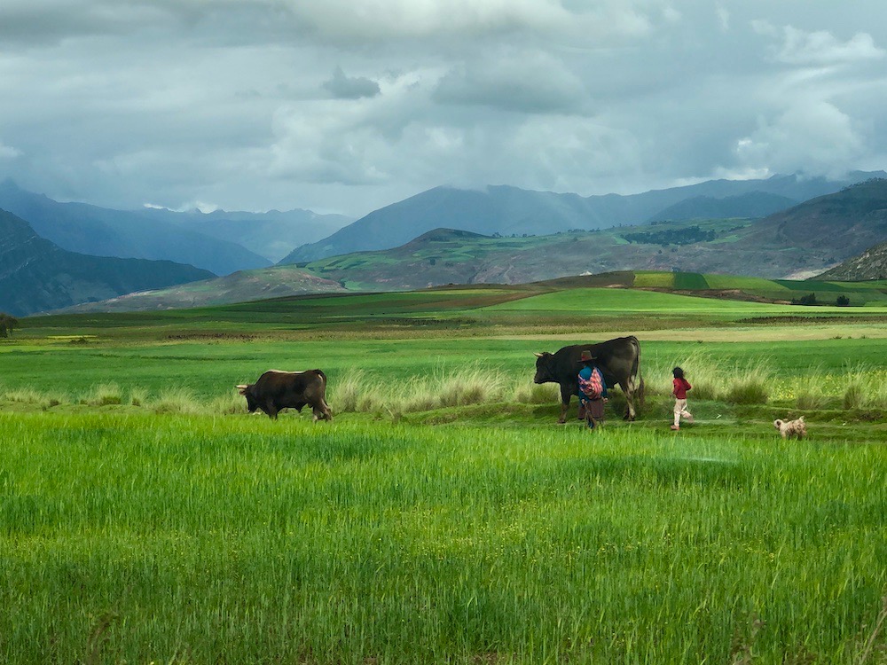 Peru: A Luxury Adventure in the Andes