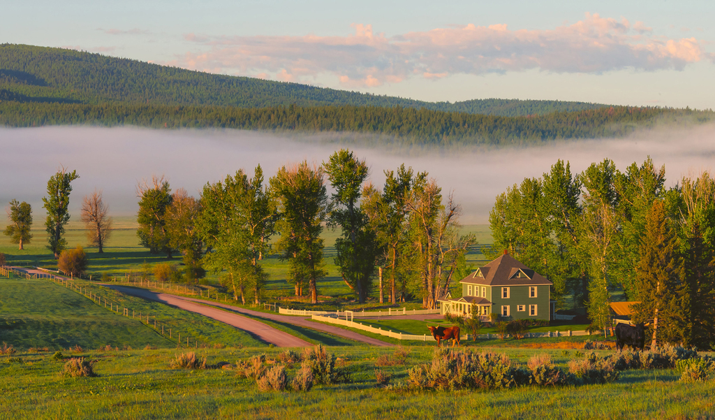 Inside Look: The Green O, Montana